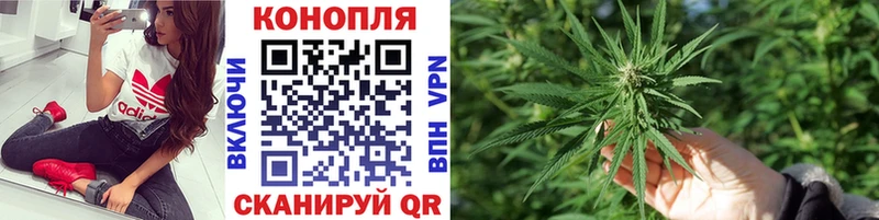Купить  Иланский  Бошки марихуана LSD WEED 